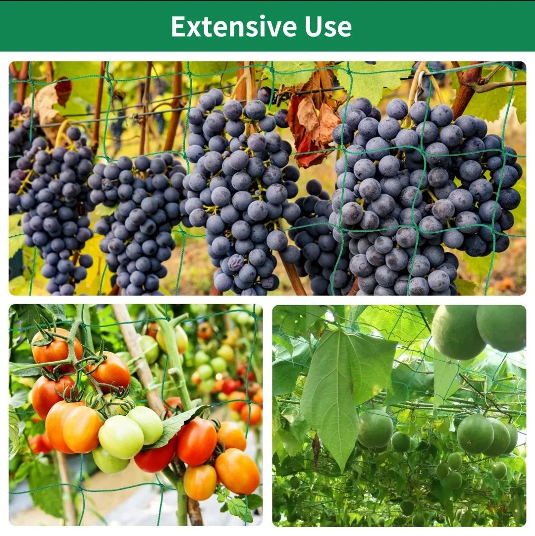 Plant Trellis Pergolas, Heavy-Duty Polyester Grow Net, Garden Trellis Netting With Square Mesh For Climbing Plants, Vegetables,