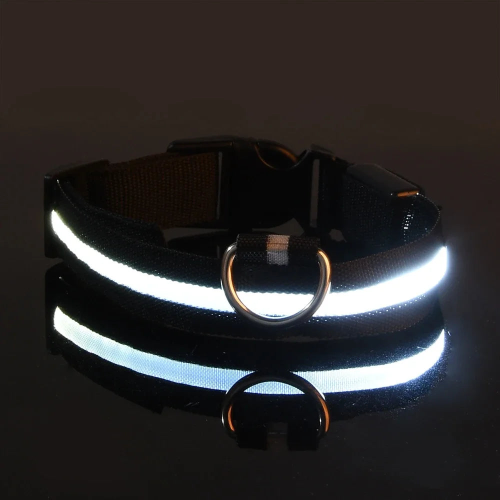Dog Collar Nylon LED Night Safety Flashing Glow In The Dark Pet Dog Leash pet Dogs Luminous Fluorescent dog accessories collar