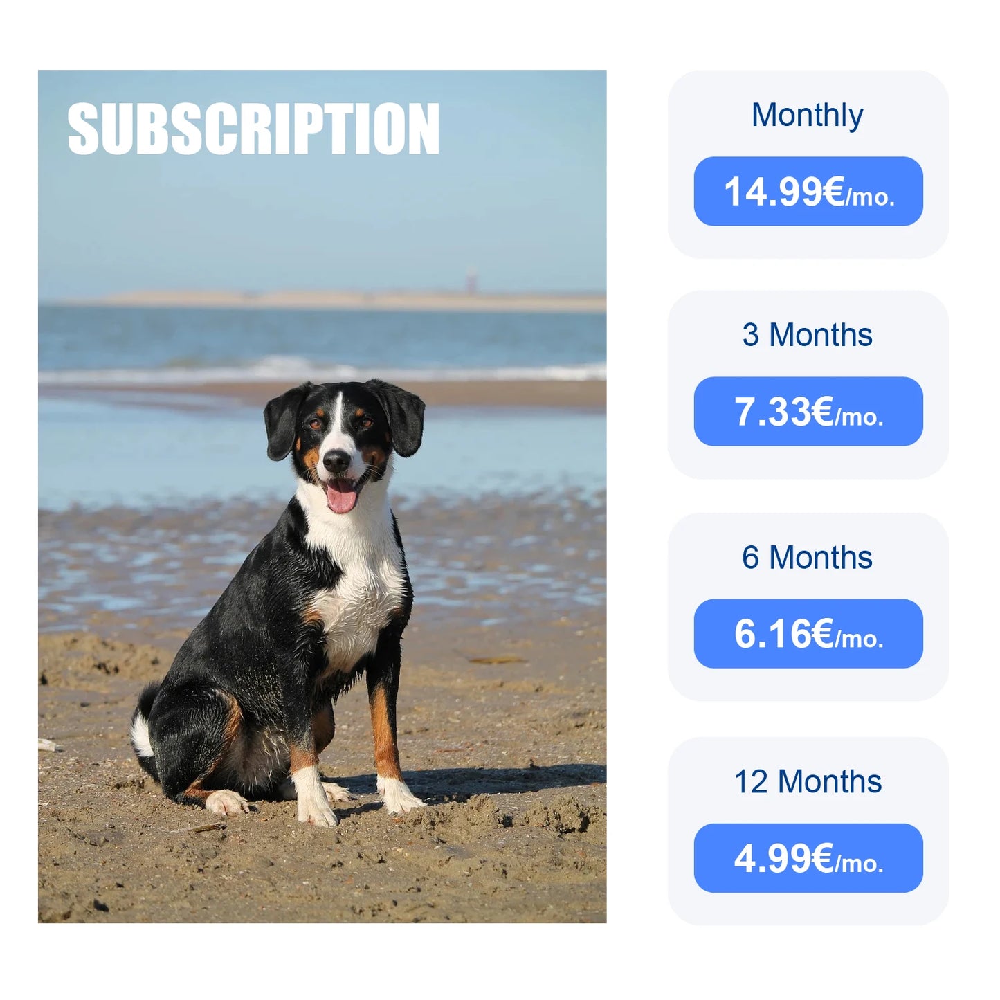 GPS Tracker for Pets