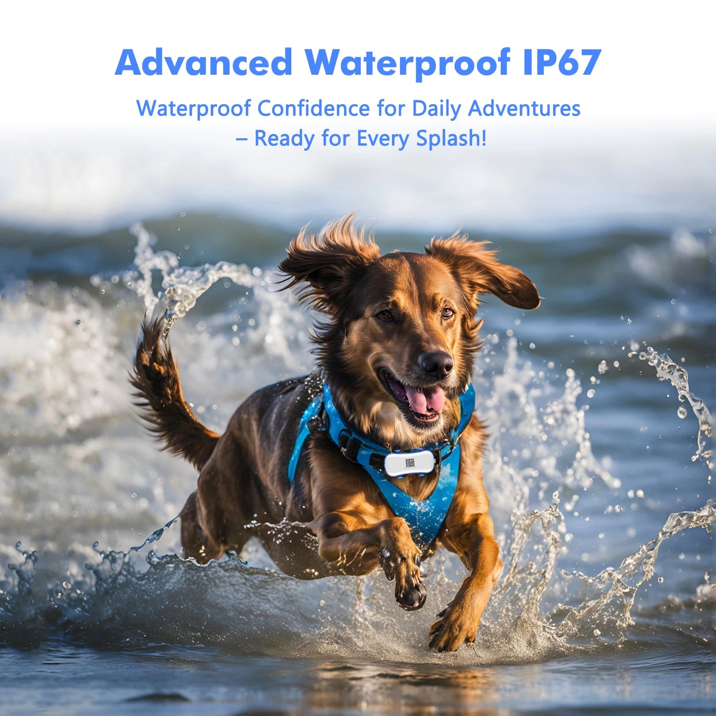 GPS Tracker for Pets