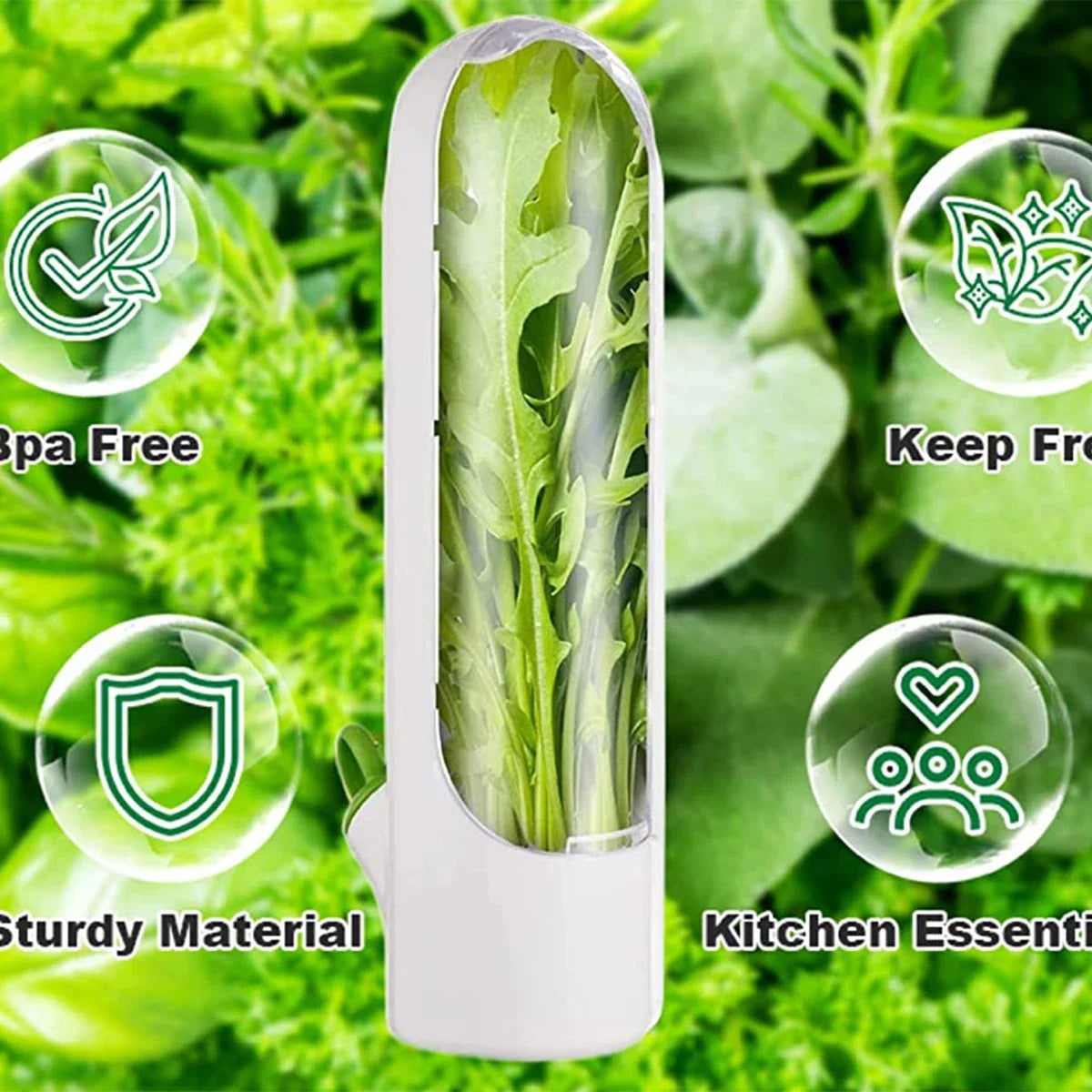 1/2/3PCS Herb Saver Storage Container Fresh Herb Keeper Vanilla Vegetables Fresh Preservation Bottle For Refrigerator Kitchen